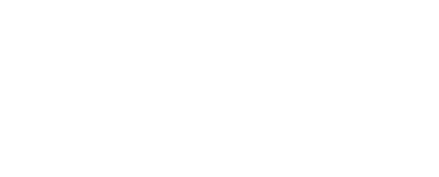 BeechTree Partners